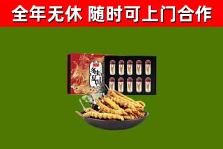 青川烟酒回收冬虫夏草礼盒.jpg